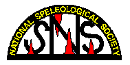 [NSS Logo]